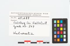 Etikett zu Bronzeuntersatz (NHMW-PRAE-025277)
